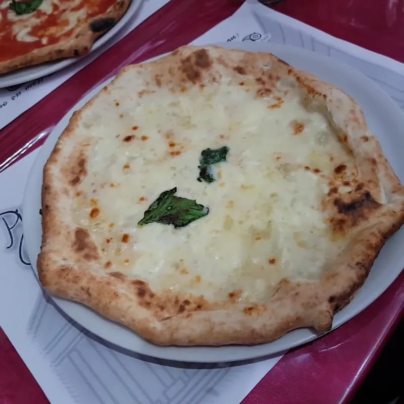 Pizzeria Pavia photo 8