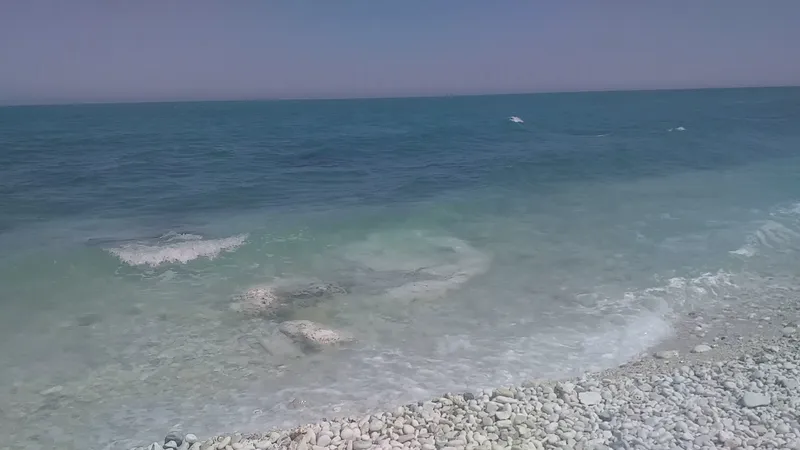 Il Clandestino foto 9