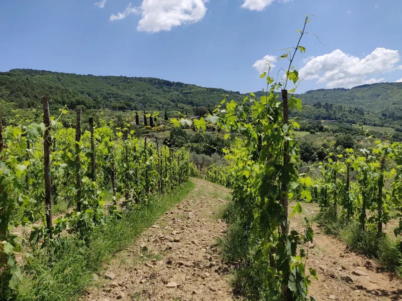 Castellinuzza e Piuca foto 8