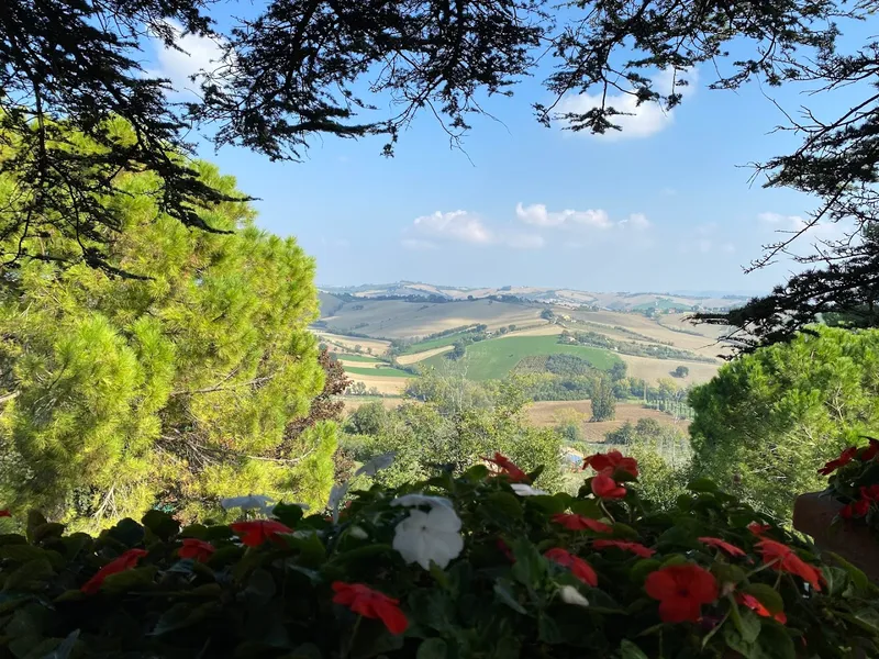 Trattoria Al Giardino da Giamburesti photo 5