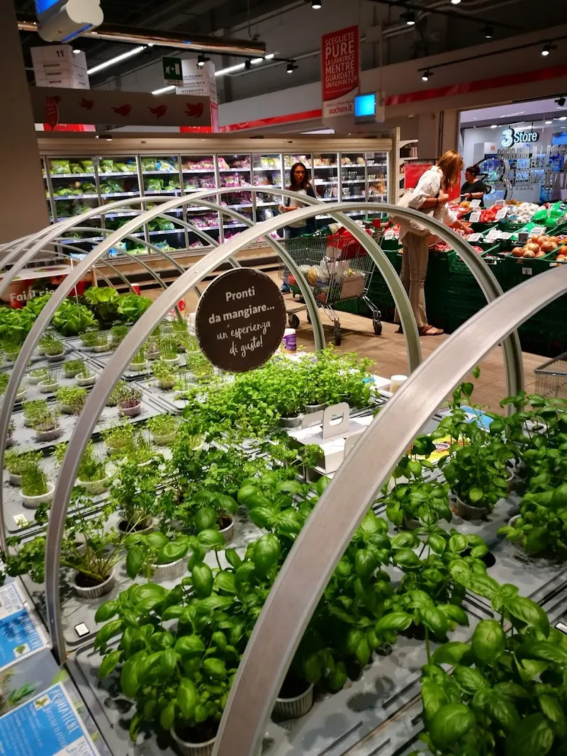 Conad photo 12