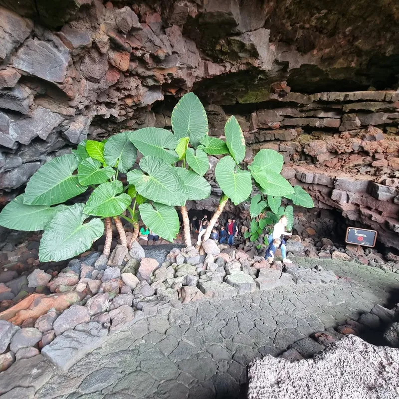 Cueva de los Verdes photo 10