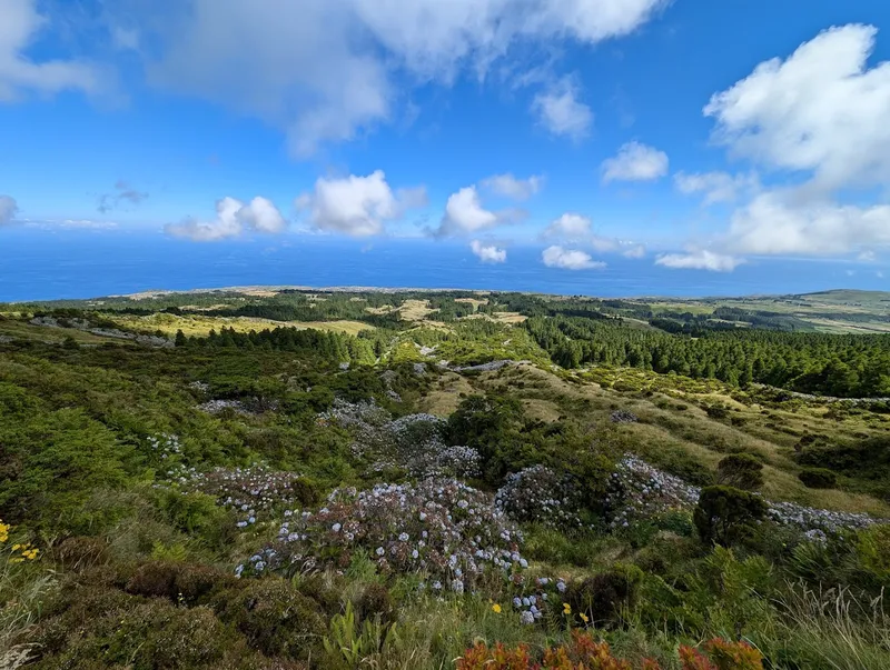 Caldeira do Faial photo 5