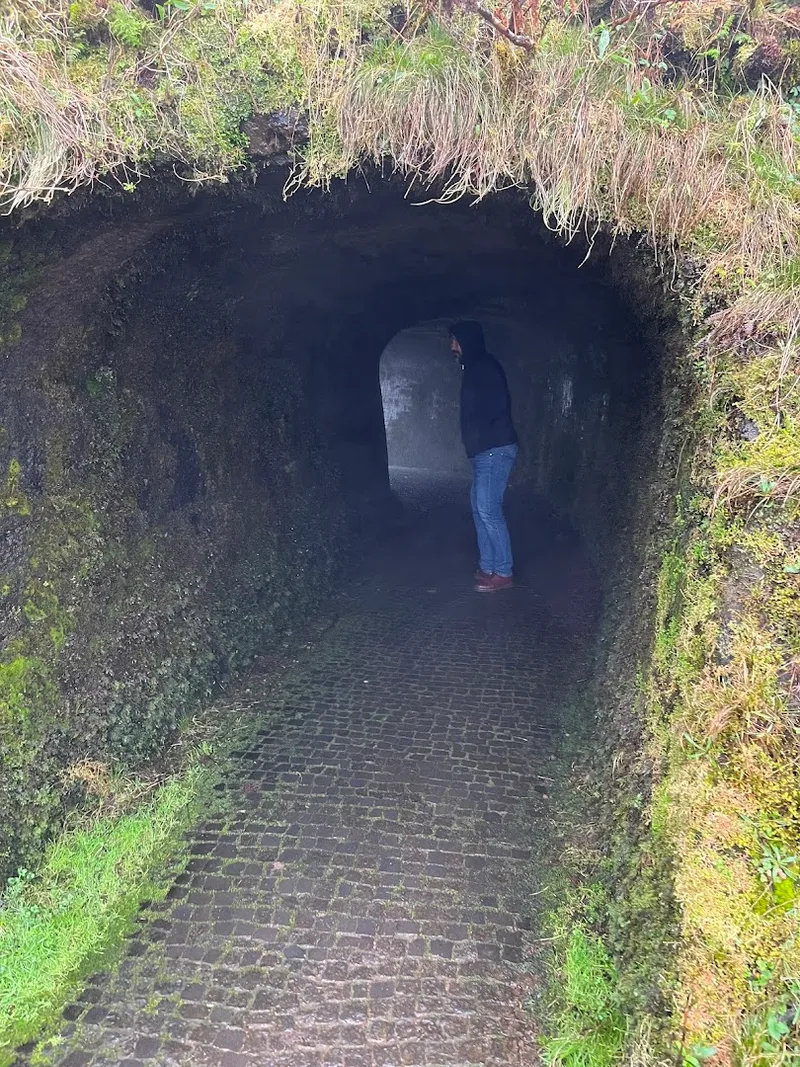 Caldeira do Faial photo 10