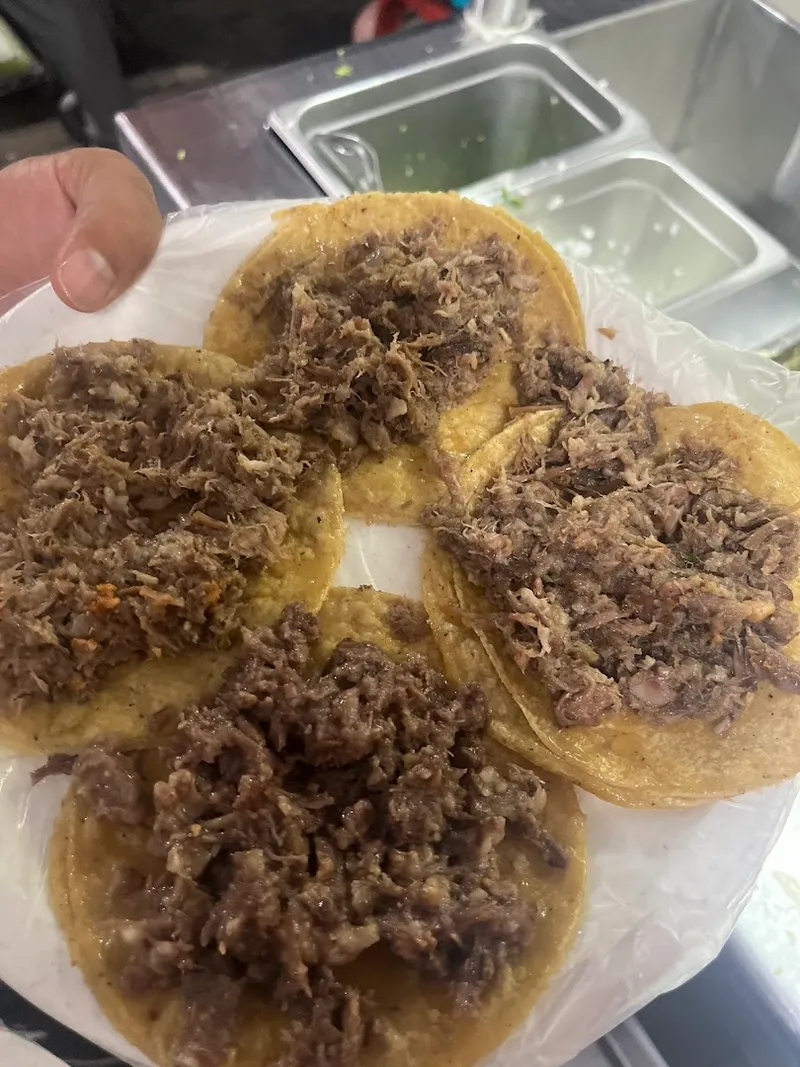 Tacos Pablo photo 8