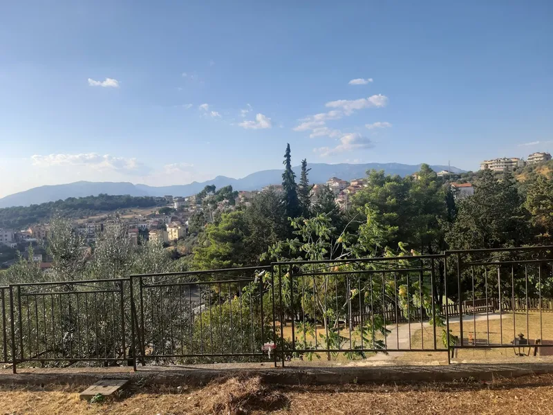 Madonna dell'Olivo foto 9