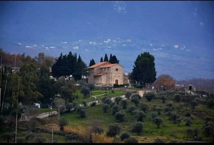 Madonna dell'Olivo foto 7
