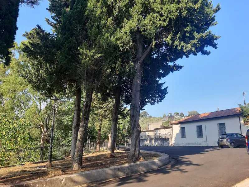 Madonna dell'Olivo foto 8