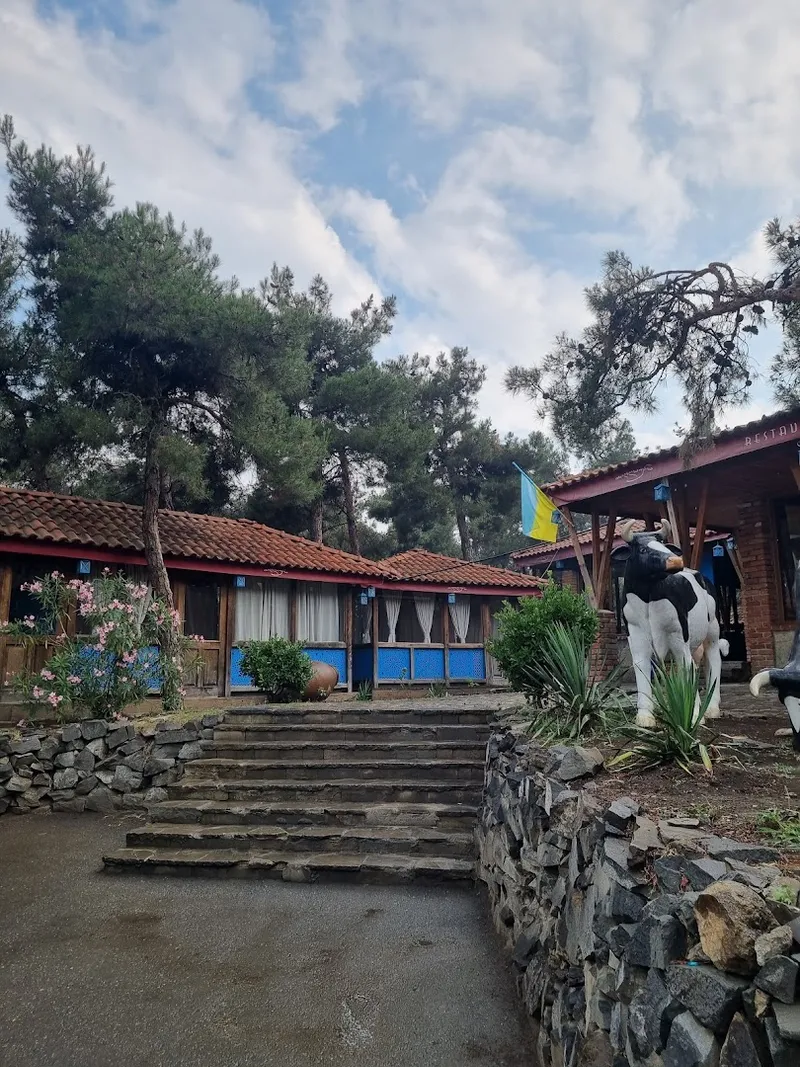 Taglaura (Okrokana) photo 6