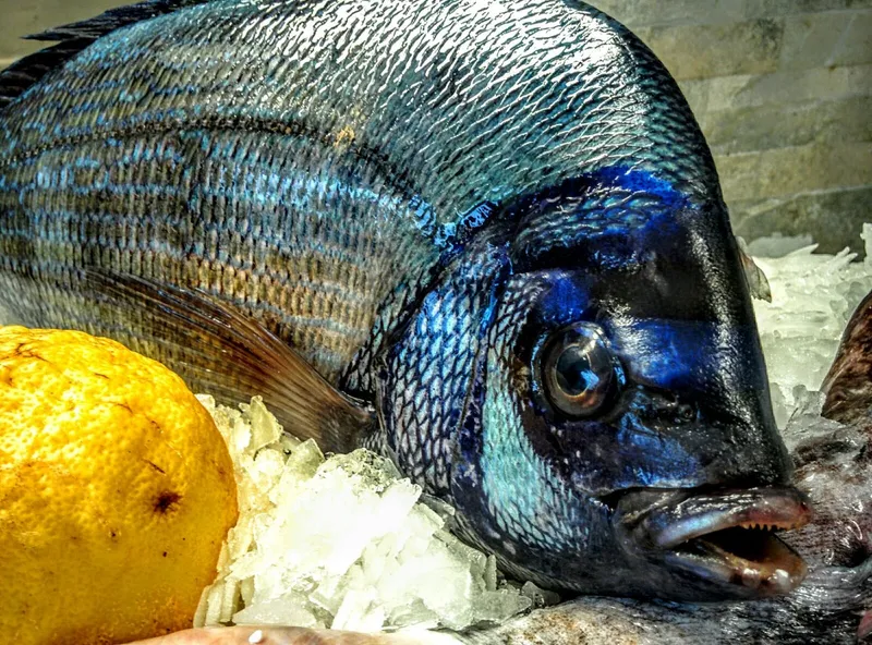 Pescheria Ristorante photo 6
