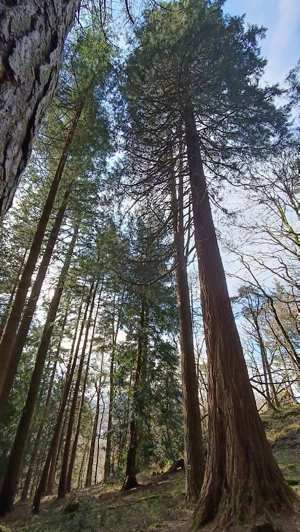 Jenkins Crag photo 7