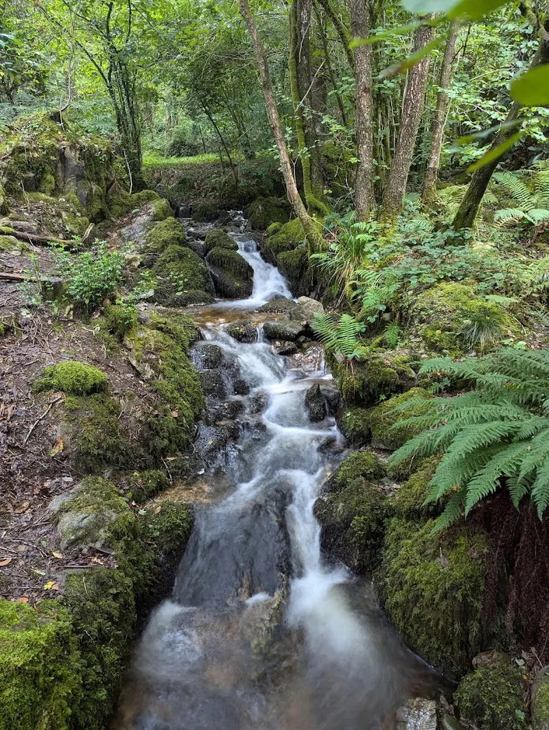 Jenkins Crag photo 6