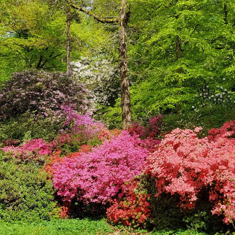 Ambleside
