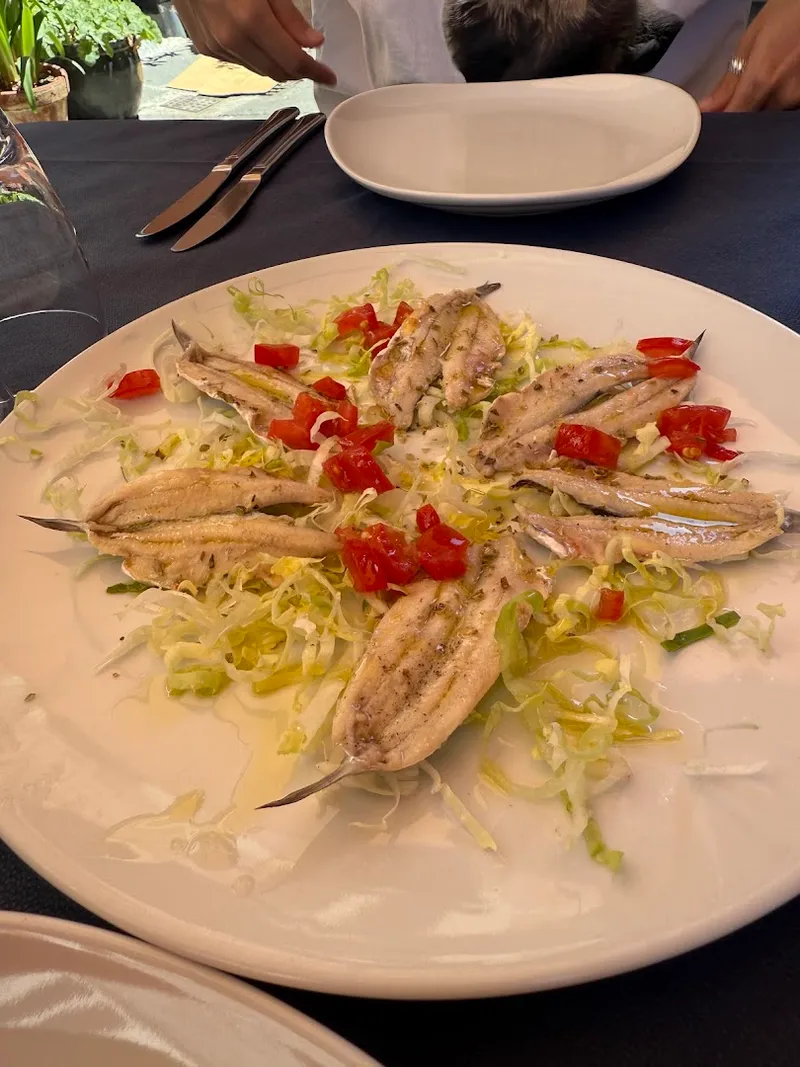 Trattoria Cavi di Lavagna foto 10