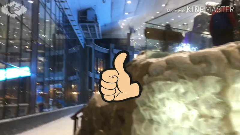 Ski Dubai photo 8