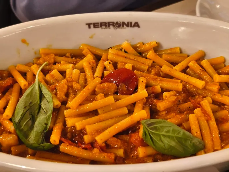 Terronia photo 5