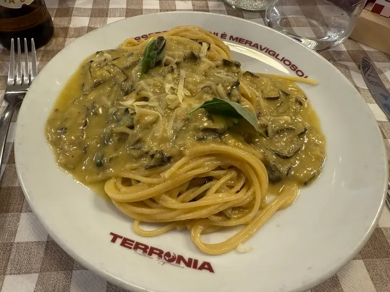 Terronia photo 10