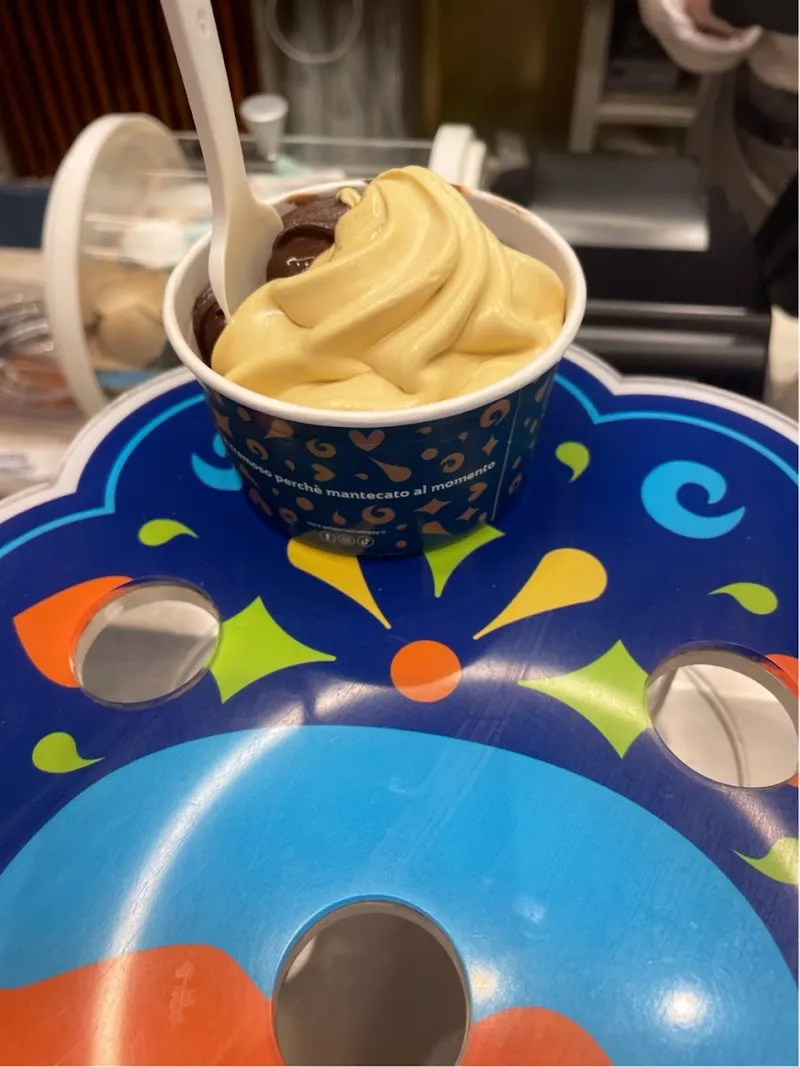 Whippy photo 7