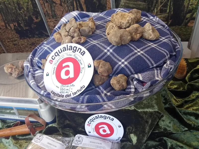 Fiera del Tartufo Bianco di Acqualagna photo 10