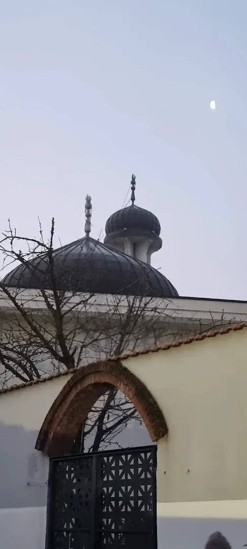 Salaam Mellat photo 10