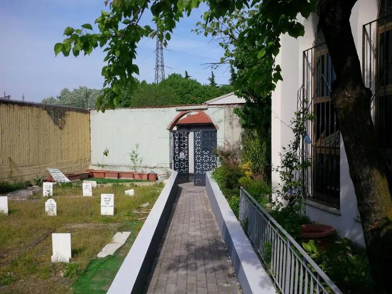 Salaam Mellat photo 6