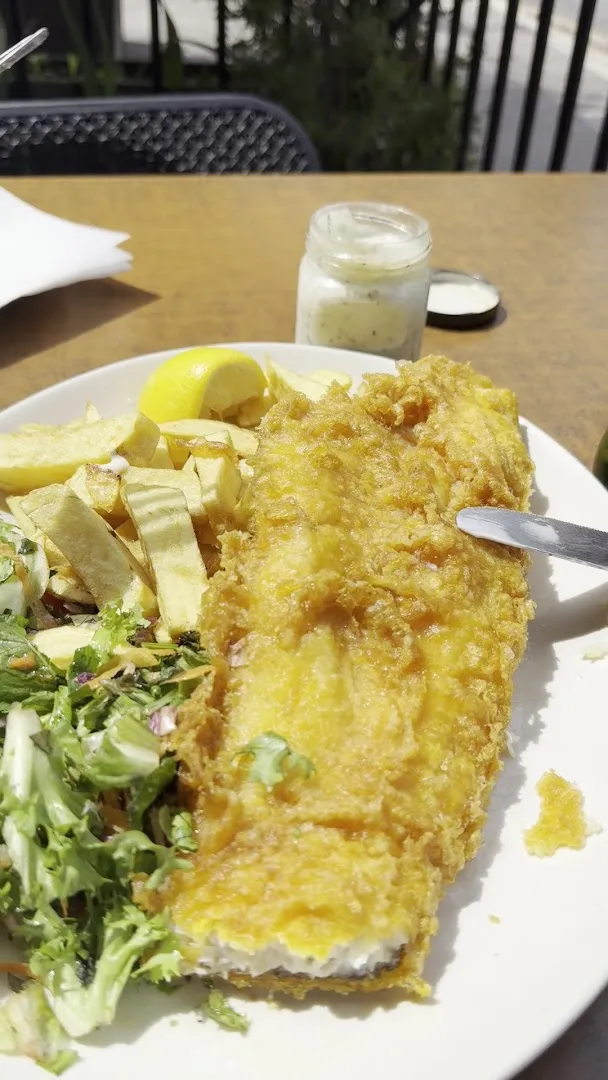 Golden Chippy photo 8