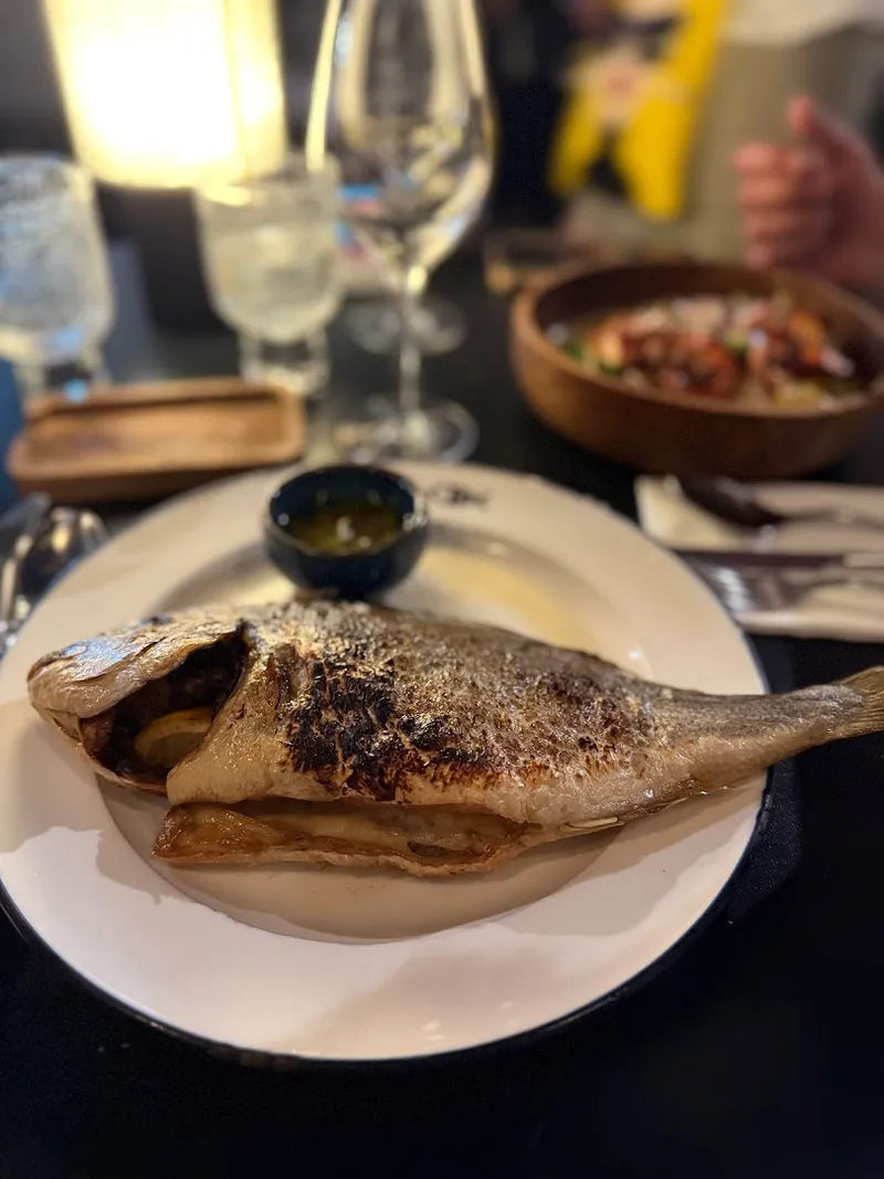 Peixes photo 7