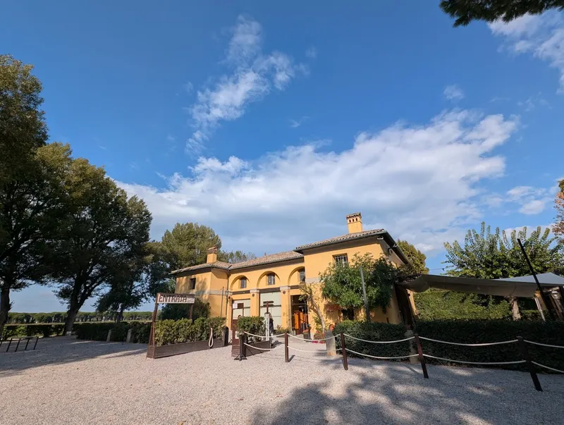 Casa delle Ristorante Tipico Romagnolo photo 10