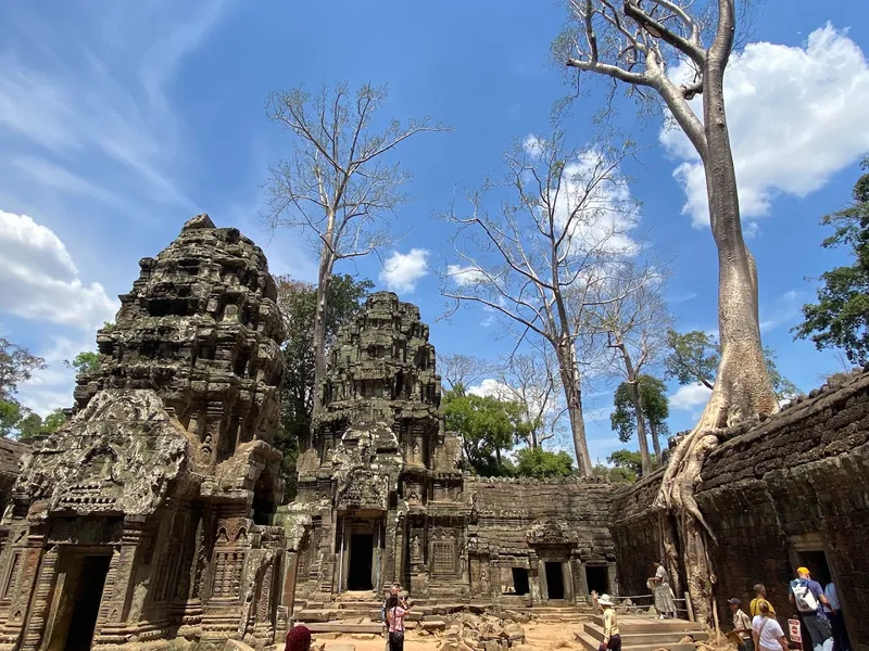 Ta Prohm photo 7