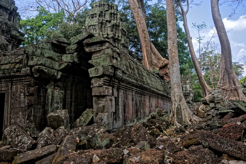 Ta Prohm photo 6
