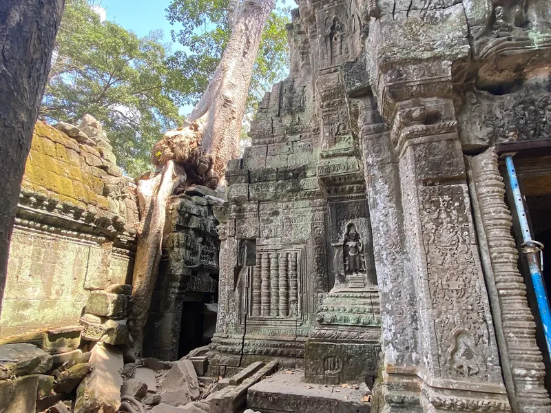 Ta Prohm photo 10