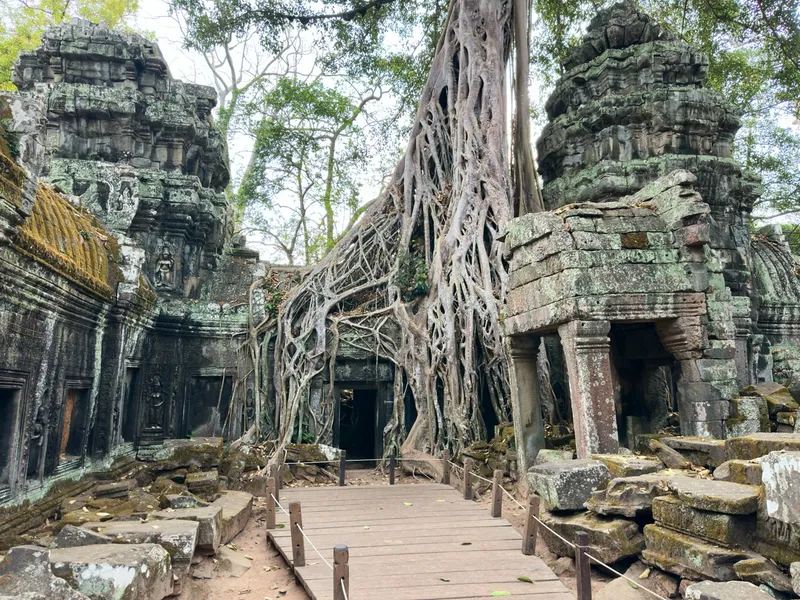 Ta Prohm photo 9
