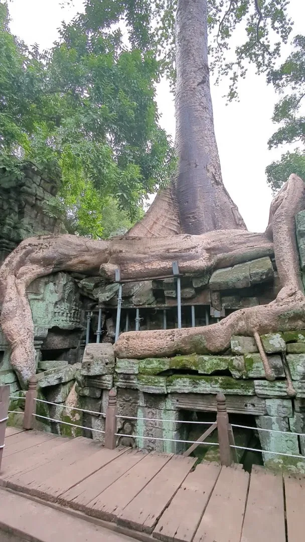 Ta Prohm photo 8