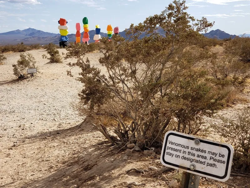 Seven Magic Mountains photo 5