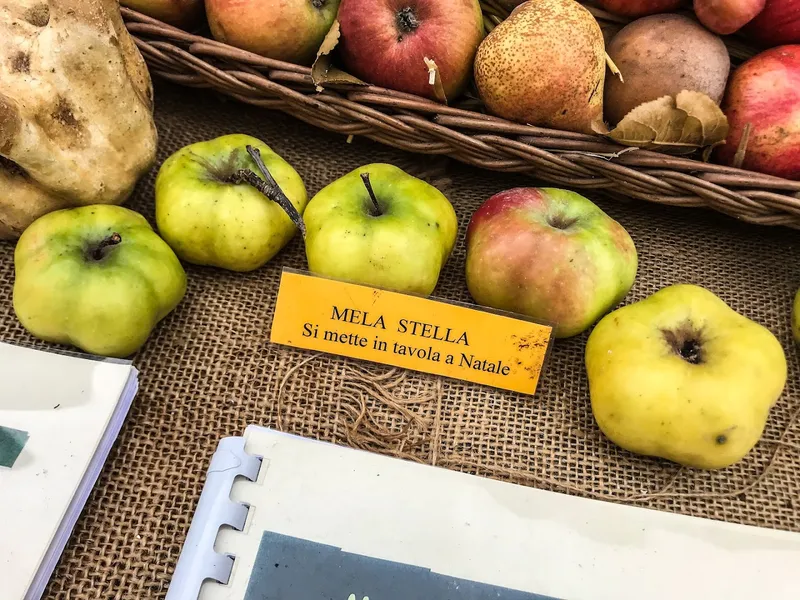 Festa dei Frutti Dimenticati photo 8