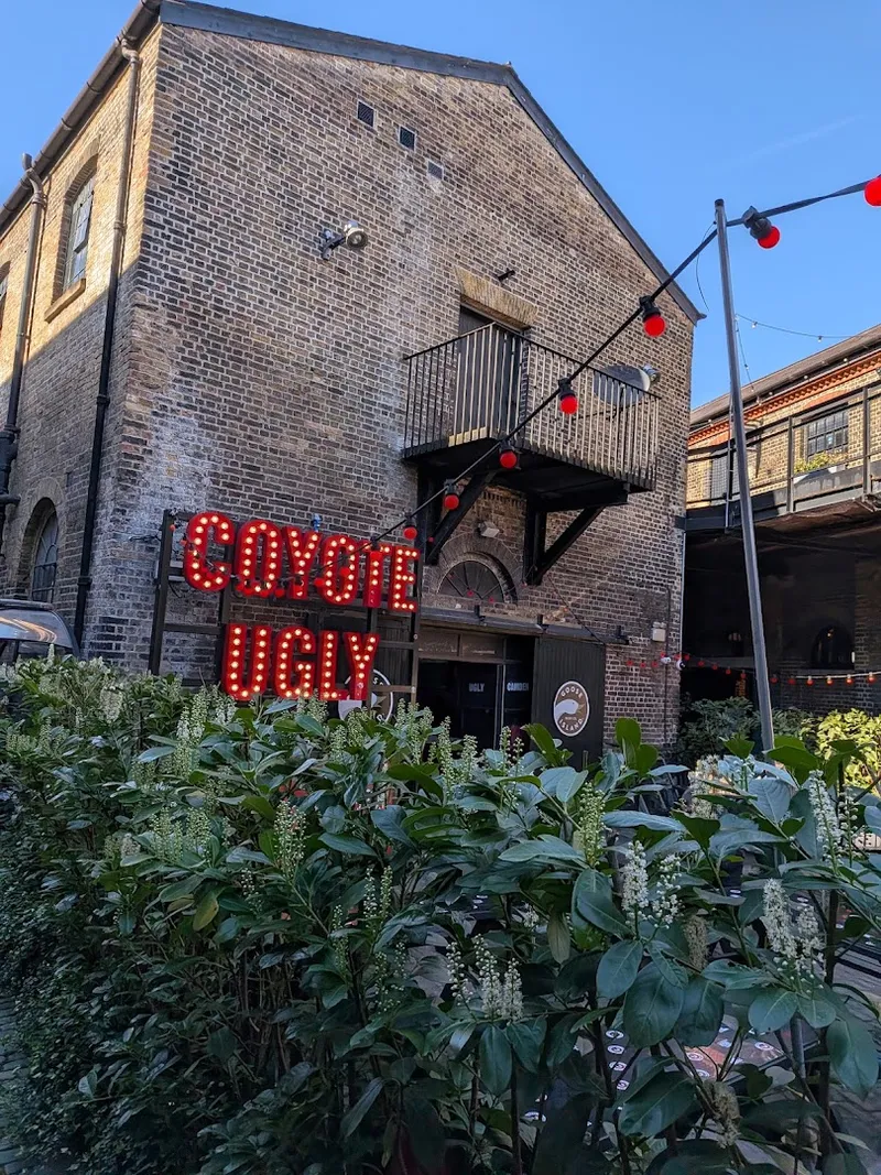 Coyote Ugly photo 7