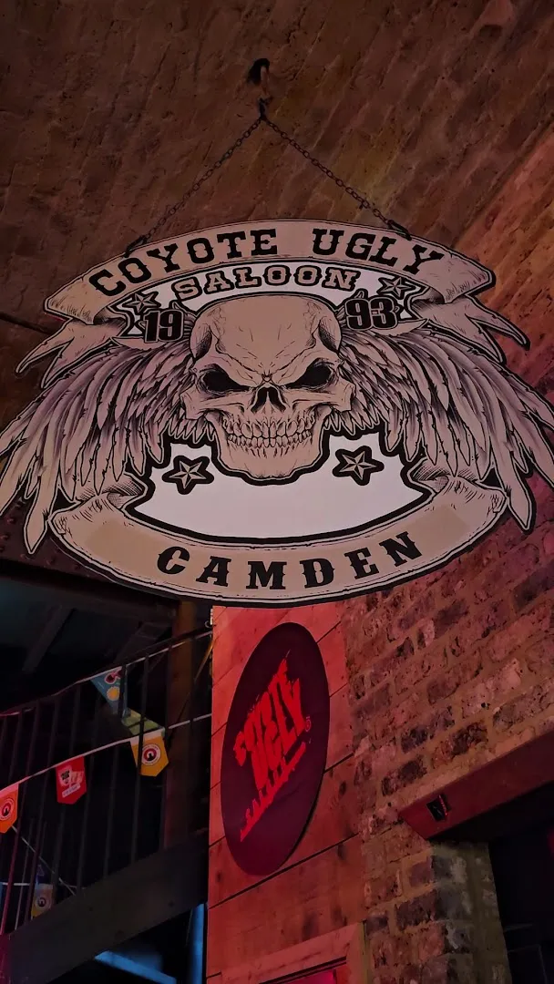 Coyote Ugly photo 10
