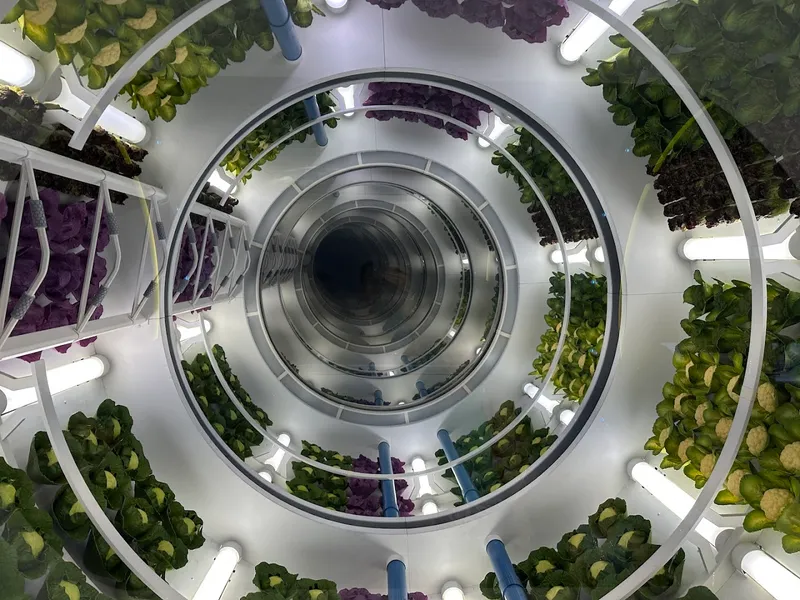 Space 220 foto 10