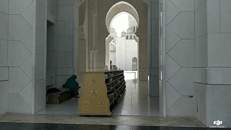 Sheikh Zayed Grand Mosque foto 8