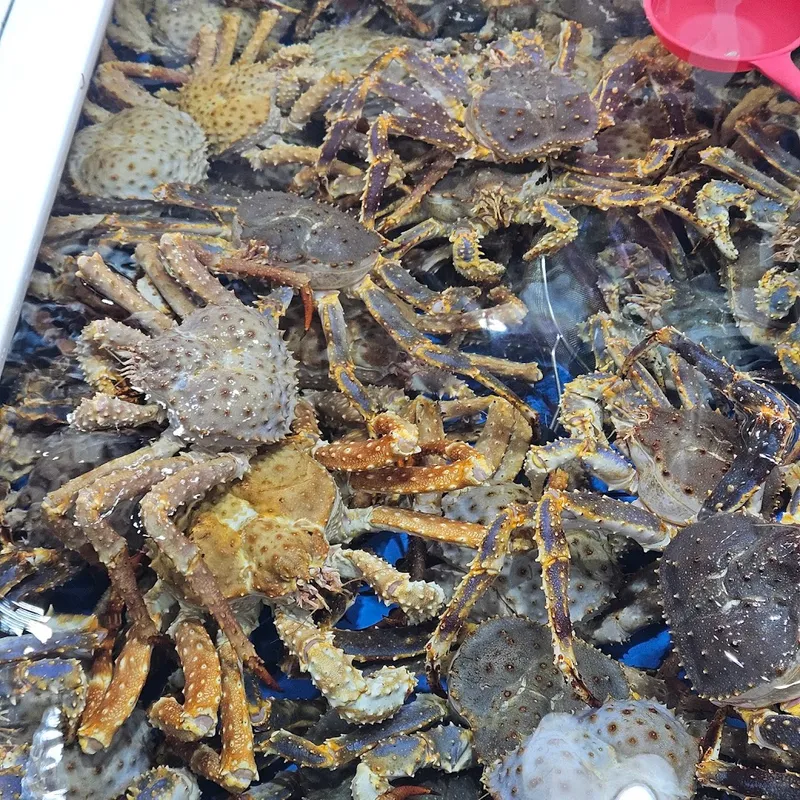 Fishmanood foto 10