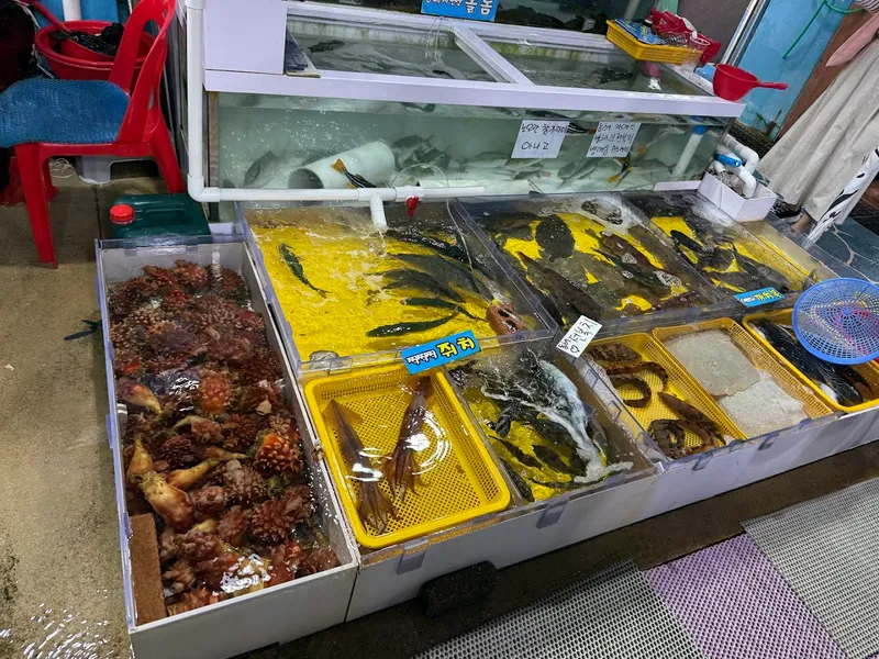 Fishmanood foto 5
