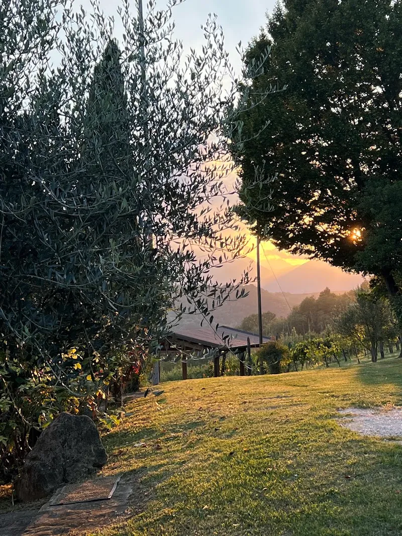 Bioagriturismo La Conca photo 5