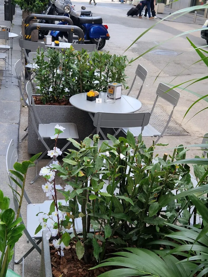 Caffetteria Imperatore photo 7