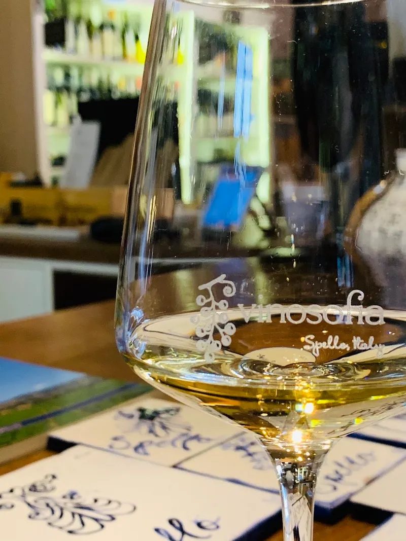 Vinosofia photo 7