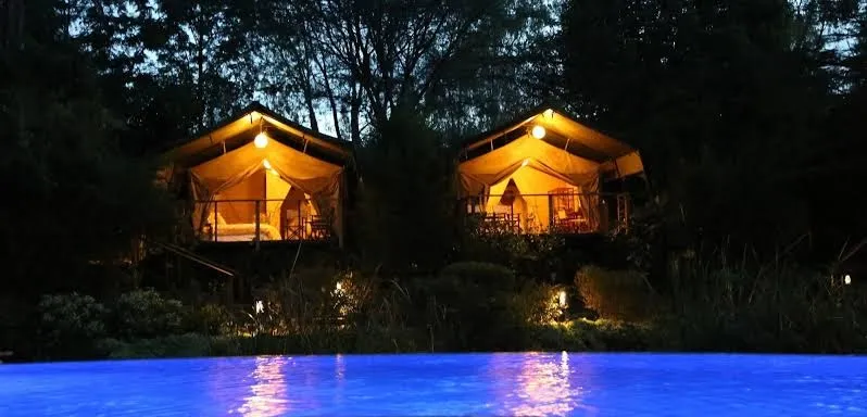 Wild Beast Eco Camp foto 7