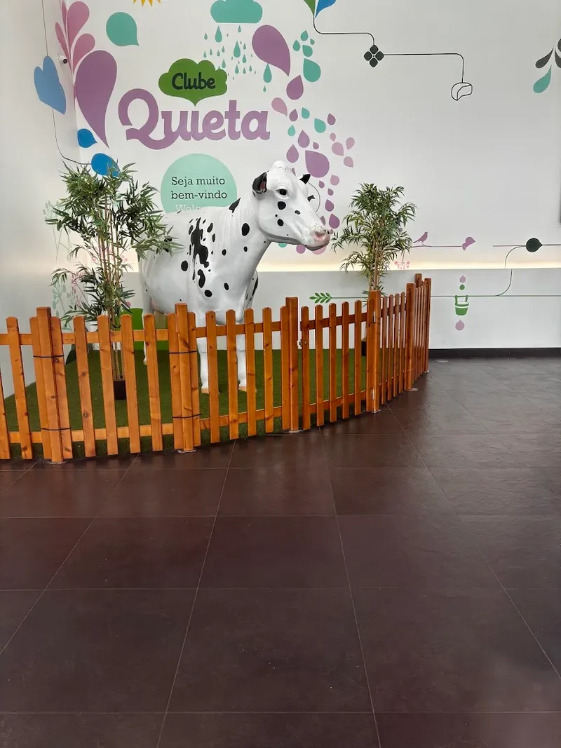 Quinta dos Açores photo 7