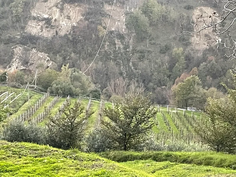 Villa Papiano photo 9