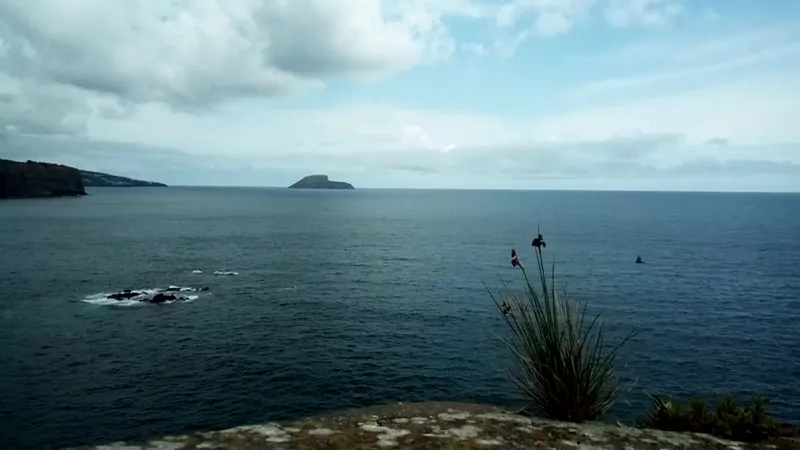 Forte de São Sebastião photo 8