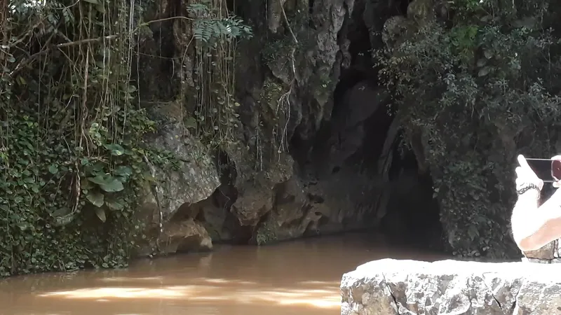 Parque Nacional de Viñales photo 8