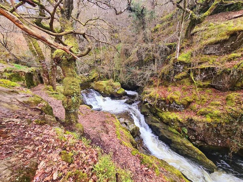 Aira Force Waterfall photo 9